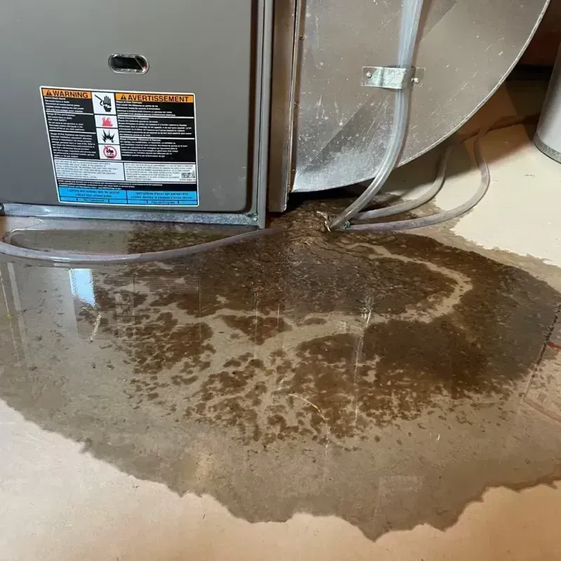 Appliance Leak Cleanup in Costa Mesa, CA